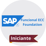 Icone Academia SAP Curso Funciona ecc fundation SAP Treinar MInas